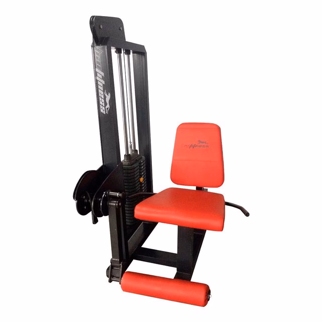 ¿Cómo se llama la cama del gimnasio?