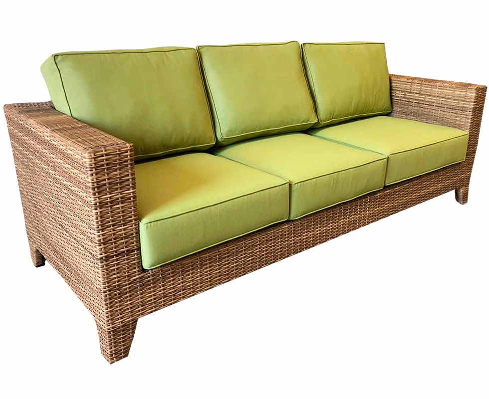 What is the oldest seagrass in the world?