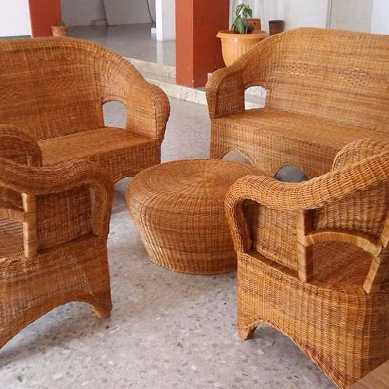 ¿Qué diferencia hay entre bambú y tacuara?