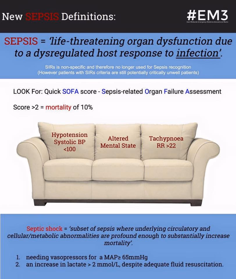 ¿Cómo se interpreta el SOFA?