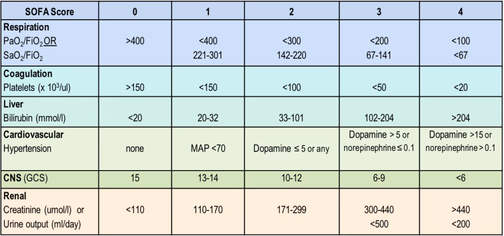 What is a nutric score?