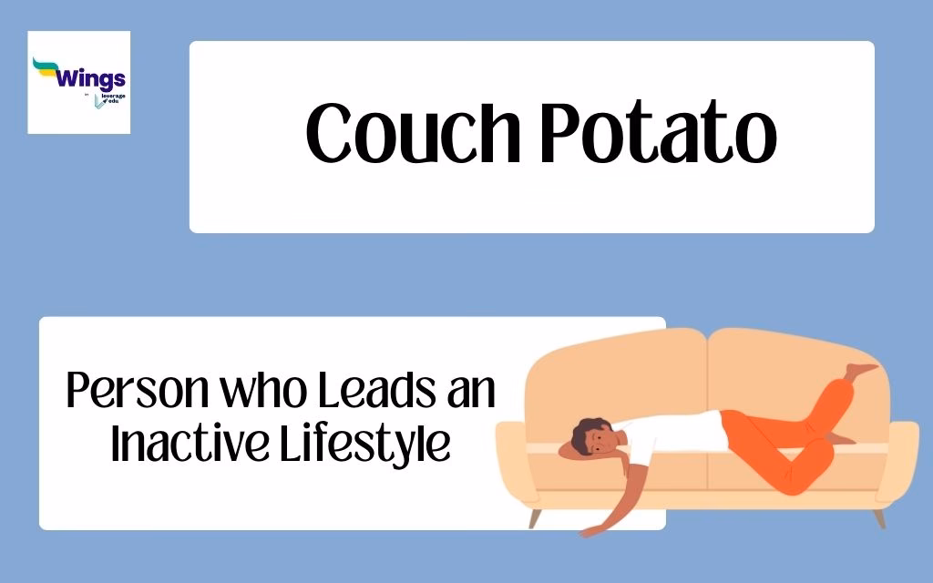 What is the origin of the term couch potato?