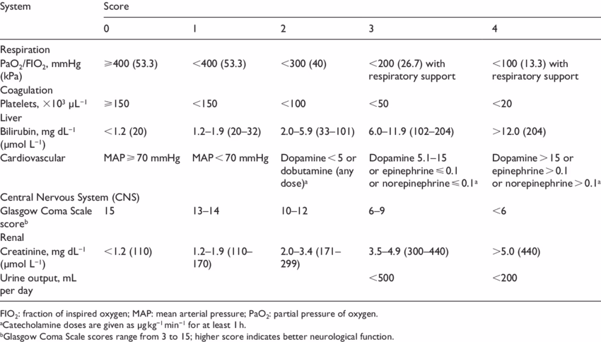 ¿Qué es el método del sofá?